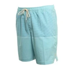 Quiksilver Portside Volley In Stillwater (Bhw6) Boardshort