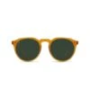 Remmy 52 In Green Sunglasses