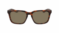 Baile LL Polar In Brown Sunglasses