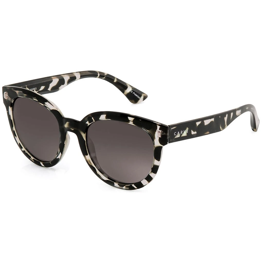 Harpo Polarized In Black Sunglasses