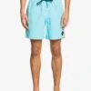 Quiksilver Beach Please 17" Volleys In Blue Boardshort