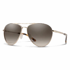 Smith Layback In Brown Sunglasses